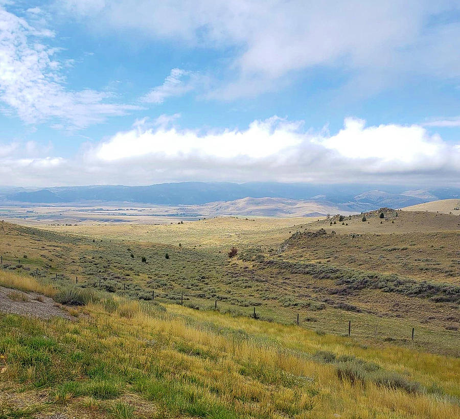 Montana Viewwwww by Deahn Benware Montana Viewwwww by Deahn Benware
