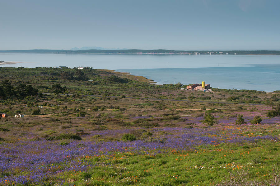 The View From Langebaan Town Towards Photograph by Anthony Grote