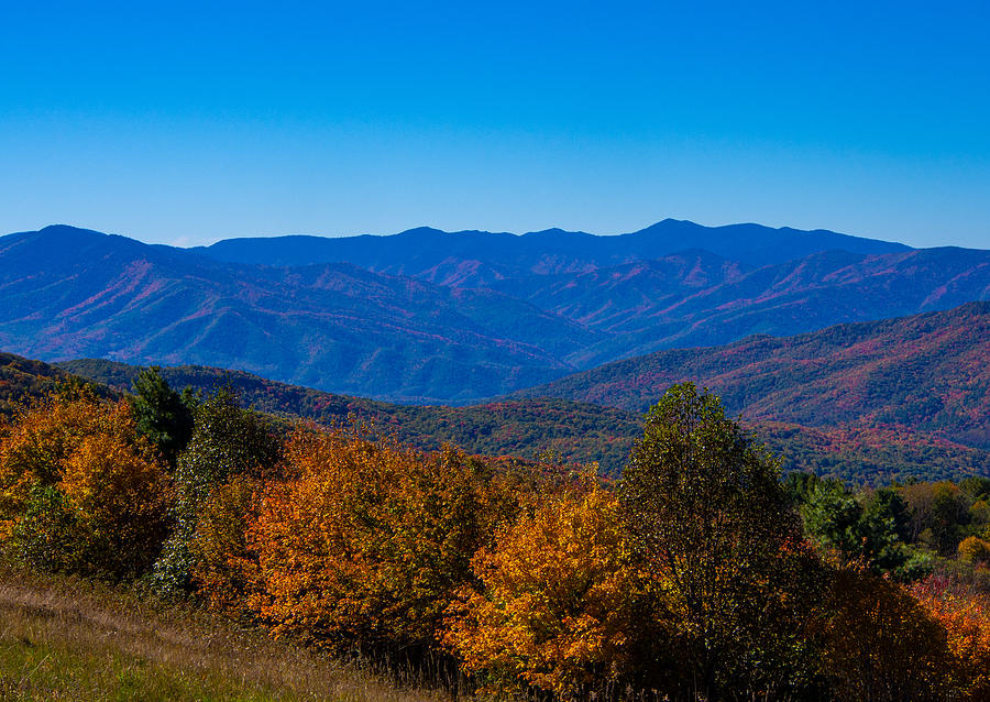 The View from Max Patch Mountain in the Fall Photograph by L Bosco