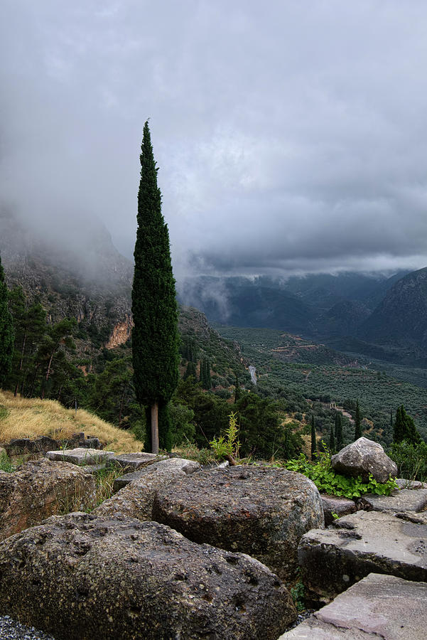 The View In Delphi Greece Photograph