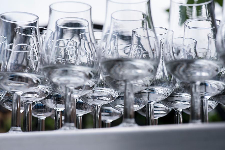 The View Of A Tray Of Tulip Glasses Containing Dutch Gin From Below Photograph by Michael Van Emde Boas