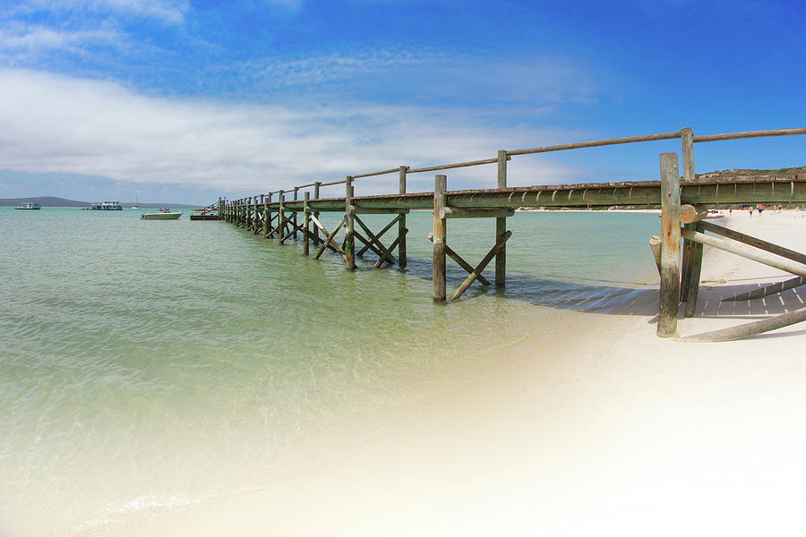 The View of wood bridge on beach Photograph by Chantelle Flores - Fine ...