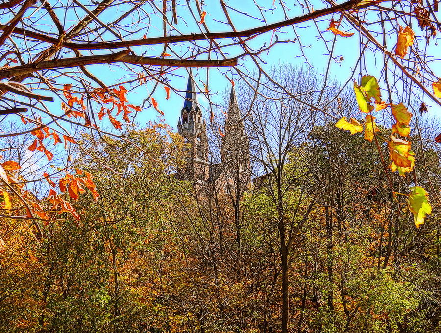The View Through The Autumn Foliage Photograph by Kay Novy
