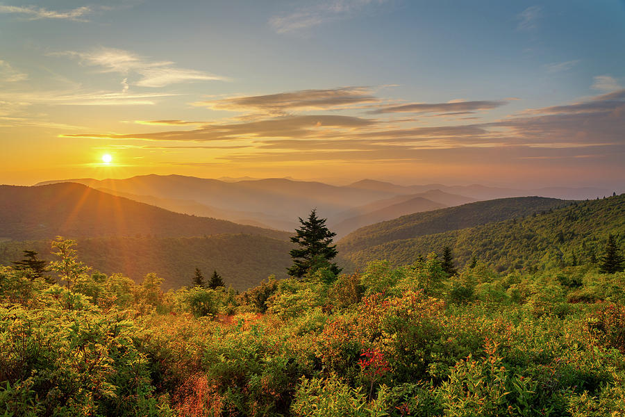 The View Photograph by Tim Reaves - Fine Art America