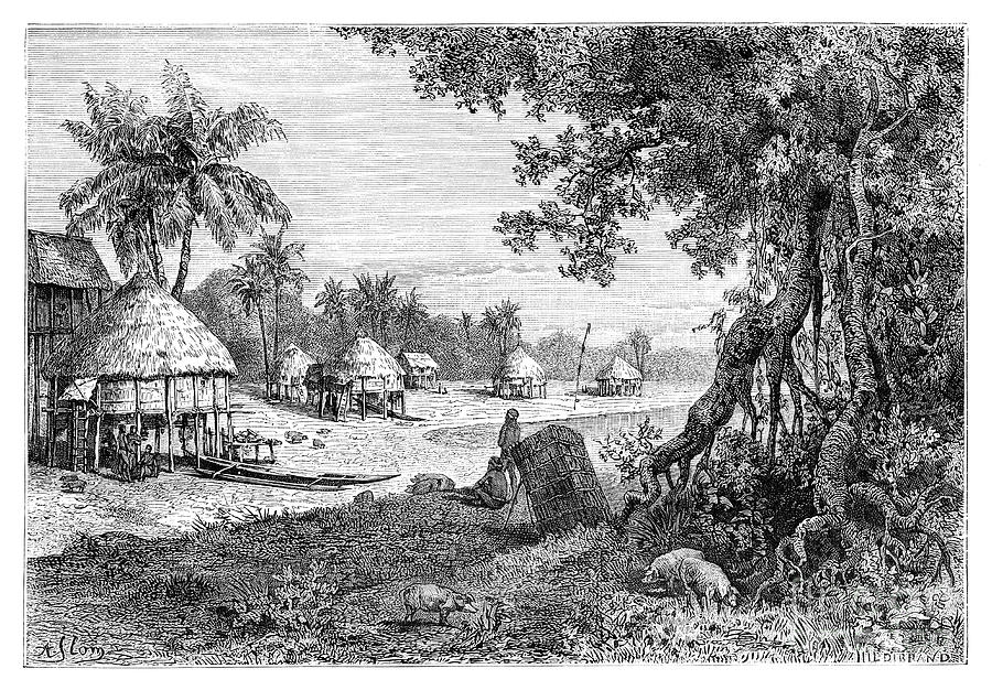 The Village Of Sawi, Car-nicobar Drawing by Print Collector