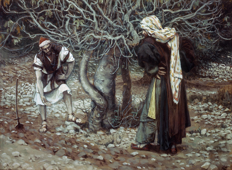 The Vine Dresser The Fig Tree by James Tissot