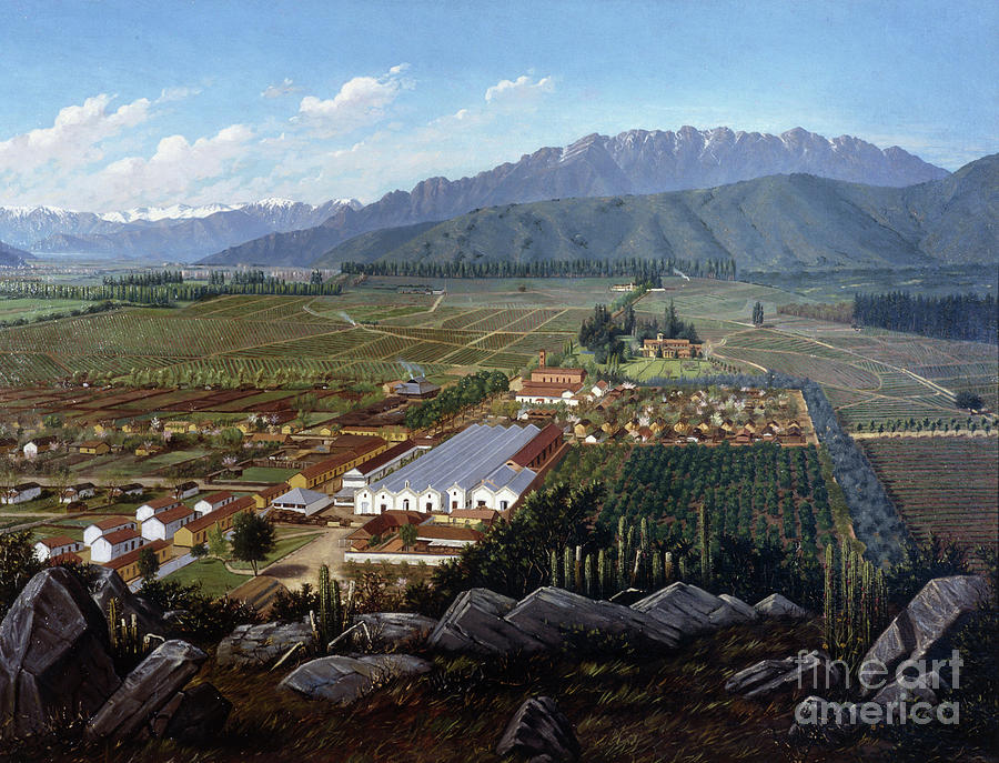 The Vineyard Of Erranzuriz-panquehue, Chile, 1896 Painting by Daniel Escobar