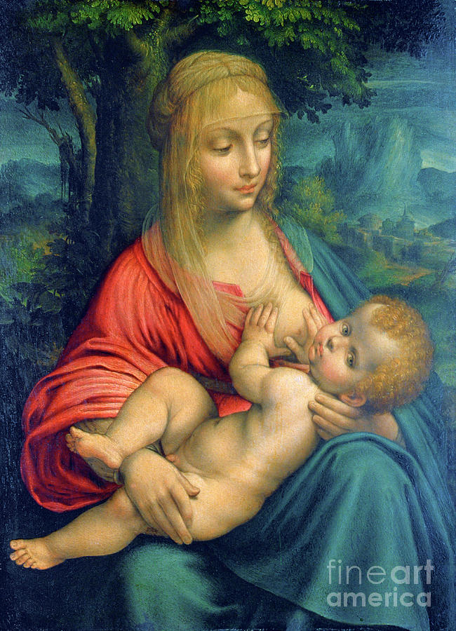 The Virgin And Child, C1511. Artist Drawing by Print Collector