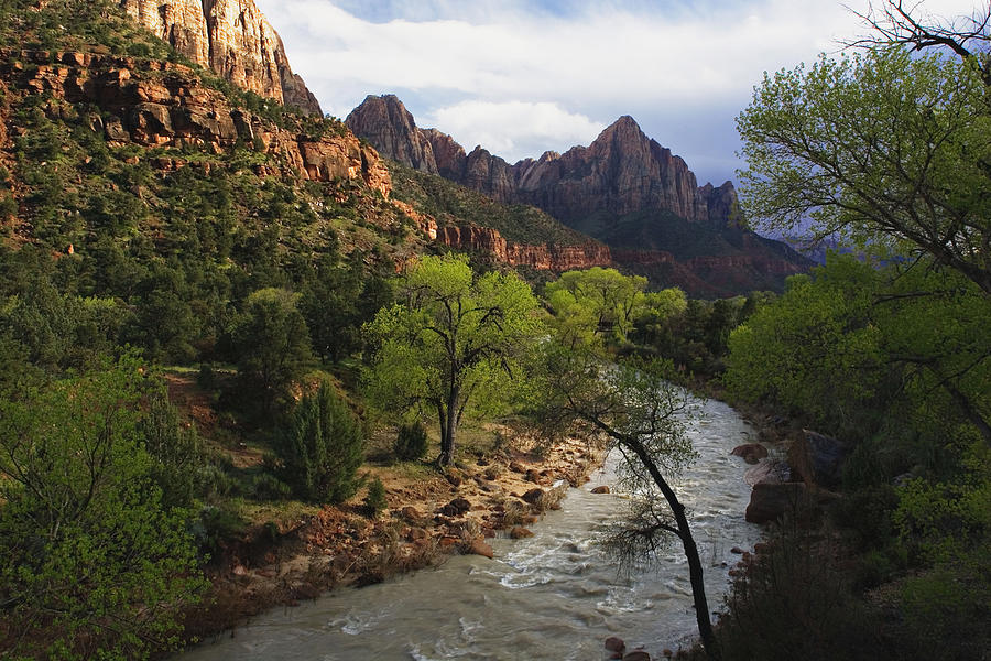 The Virgin River, Zion National Park Photograph by William Manning