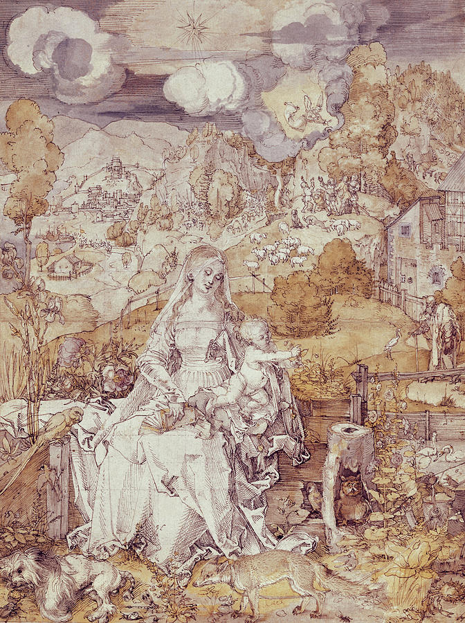 Albrecht Durer Painting - The Virgin With Animals By Durer by Artist - Albrecht Drer