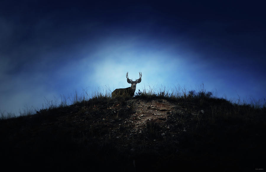 The Visitor by Brian Gustafson The Visitor by Brian Gustafson