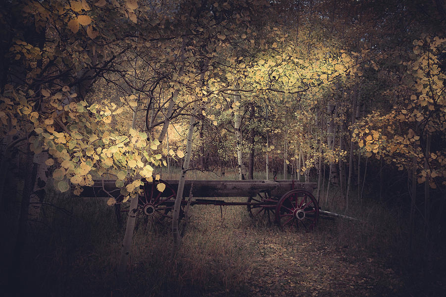 The Wagon Photograph by The Forests Edge Photography - Diane Sandoval