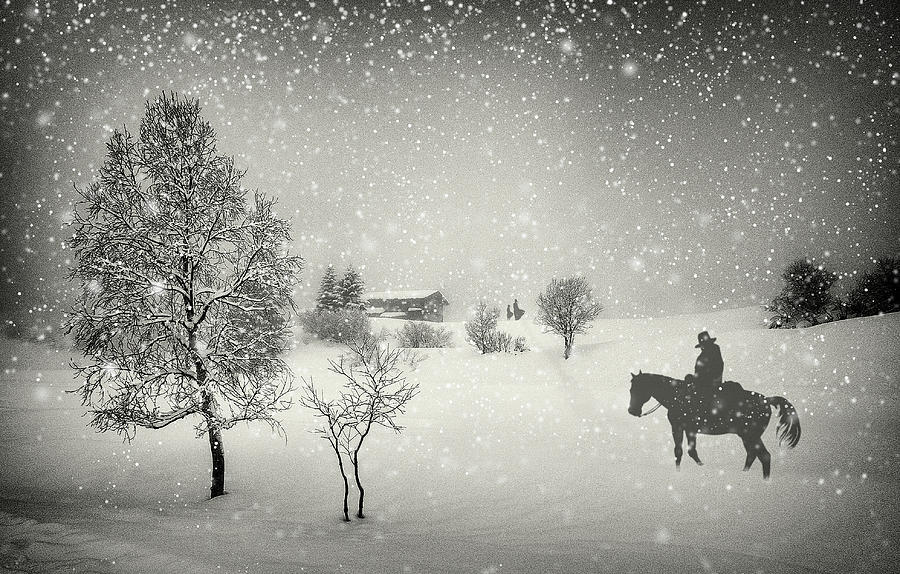 Winter Photograph - The Waiting by Vito Guarino