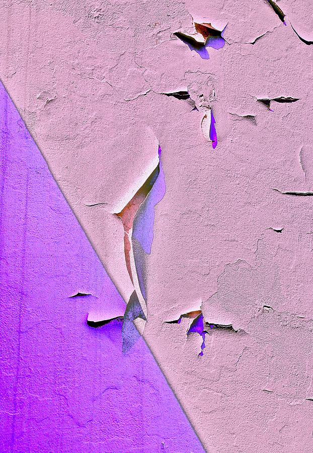 Cracks Photograph - the Wall by Gillis Cone Cracks Photograph - the Wall by Gillis Cone