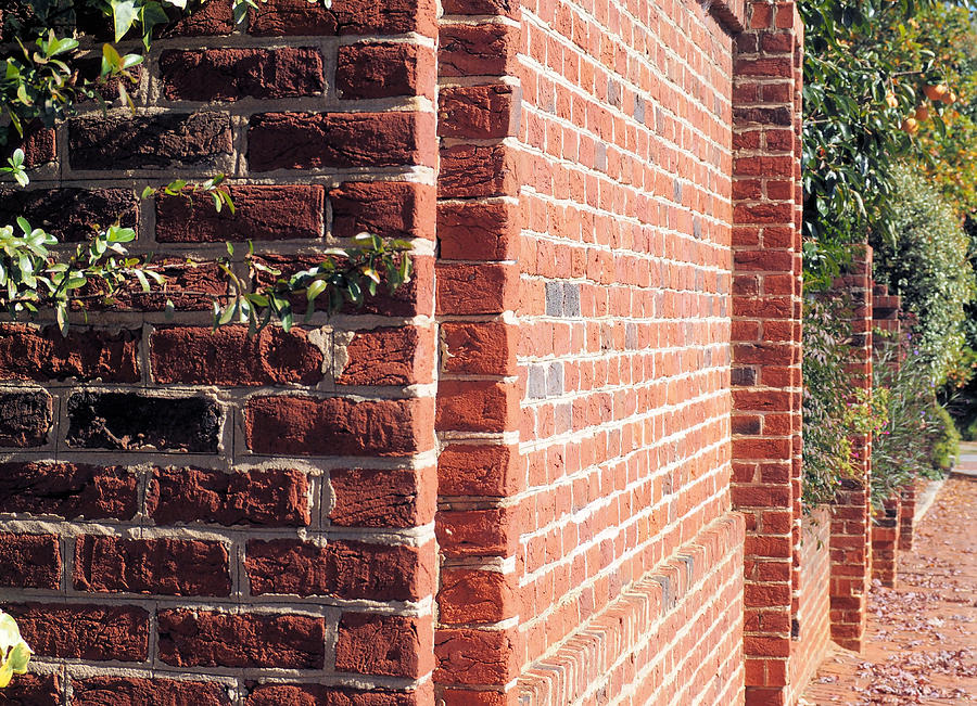 The Wall by Jeri Love The Wall by Jeri Love