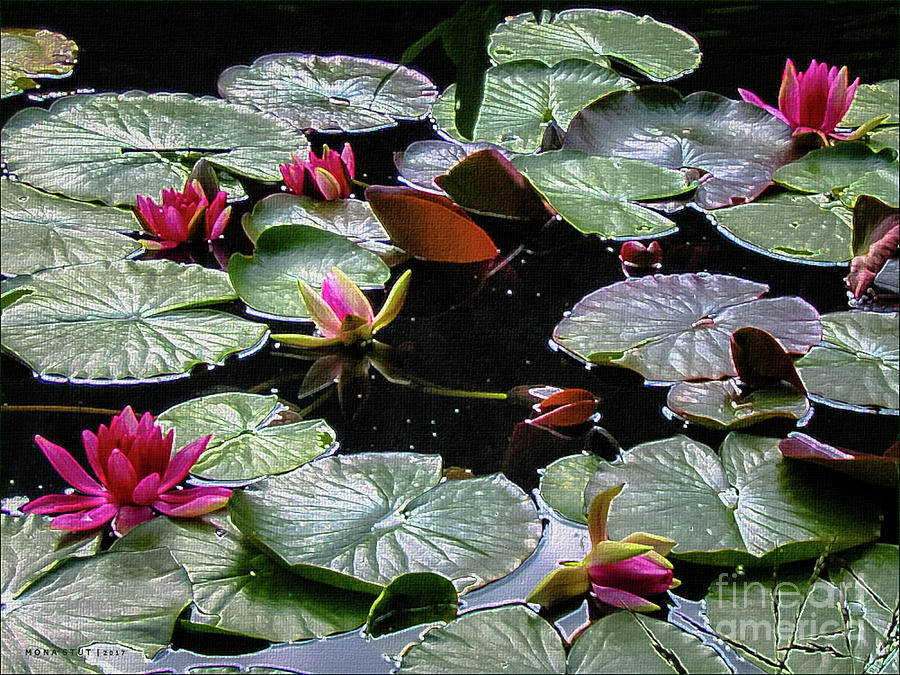The Water Lily Pond Digital Art