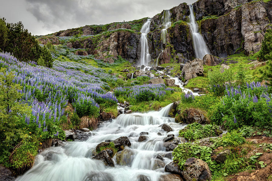 The Waterfall In Seydisfjordur Iceland Photograph