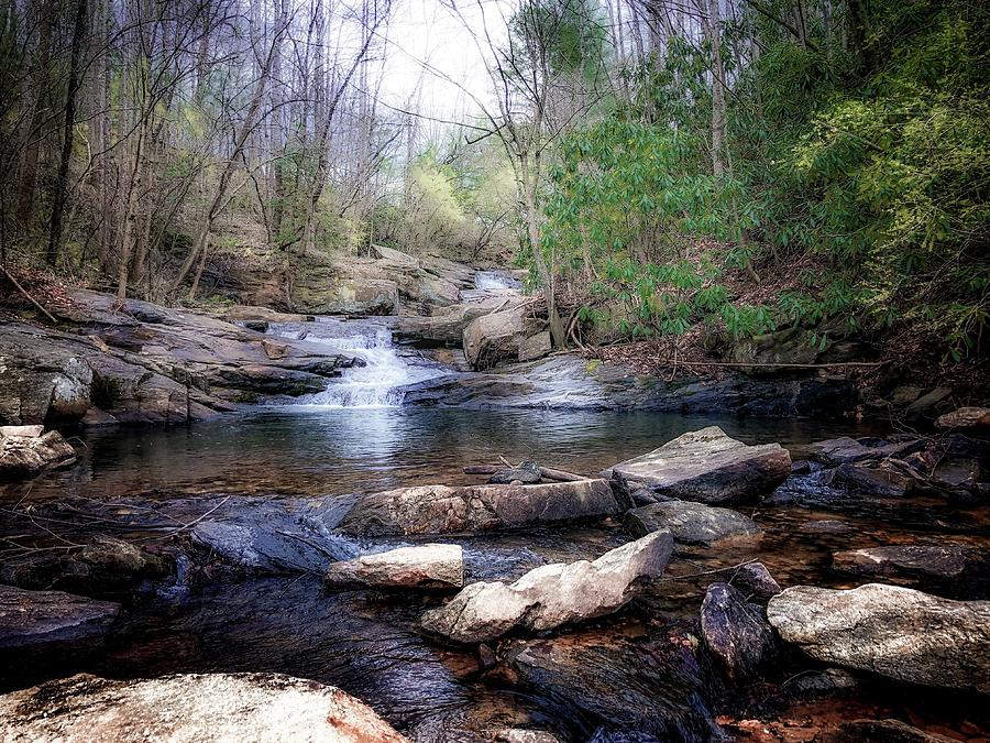 The Swimming Hole Photograph by Terry McLain - Fine Art America