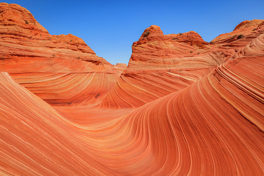 Unique Photograph - The Wave at North Coyote Buttes by Wasatch Light