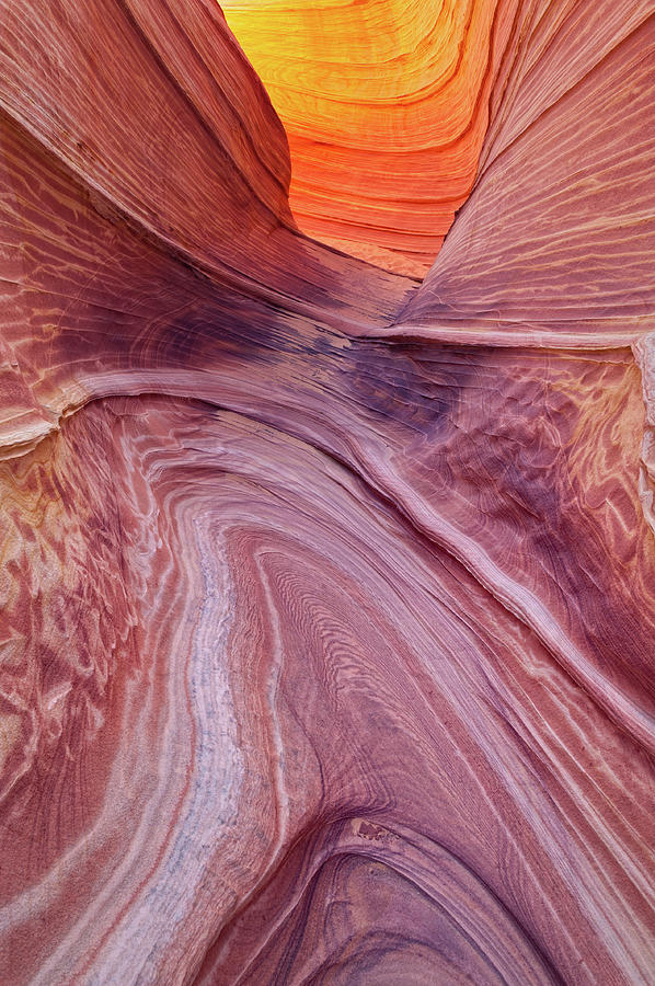 The Wave Coyote Buttes Photograph by Adventure photo