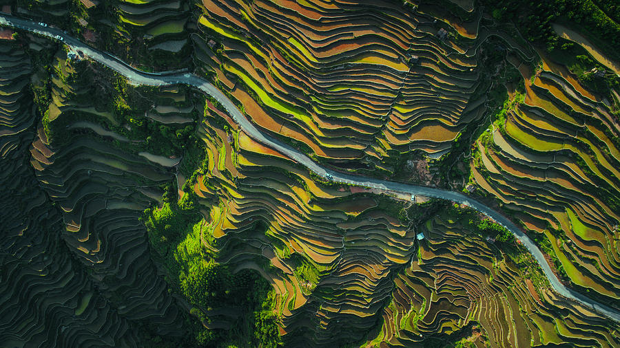 Landscape Photograph - The Way Of Terraced Fields by ??tianqi Landscape Photograph - The Way Of Terraced Fields by ??tianqi