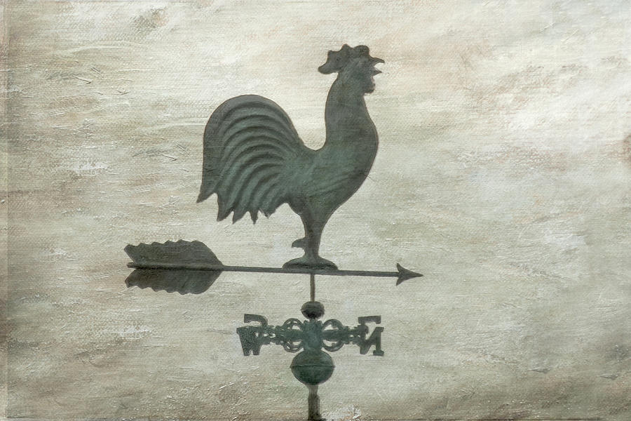 The Weather Vane by Ramona Murdock The Weather Vane by Ramona Murdock