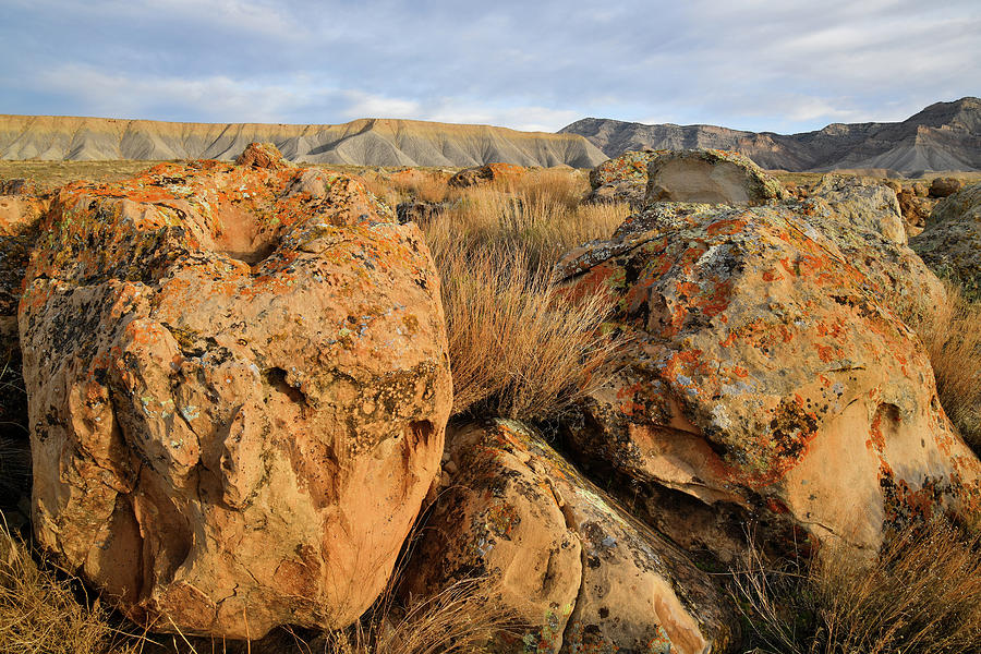 The Western Colorado Book Cliffs Photograph By Ray Mathis 