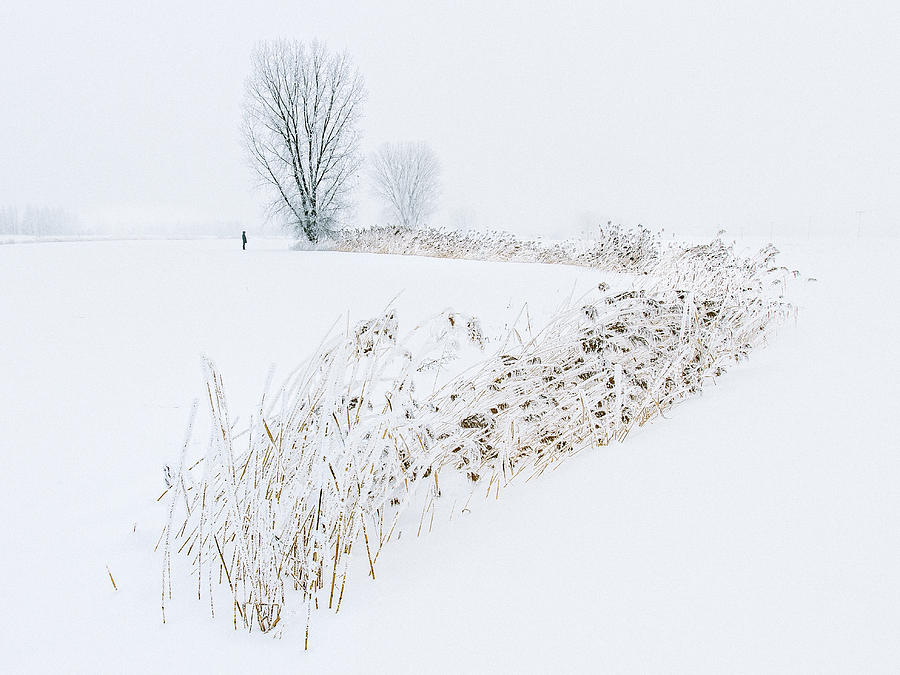 Winter Photograph - The White Calm by Khai Nguyen
