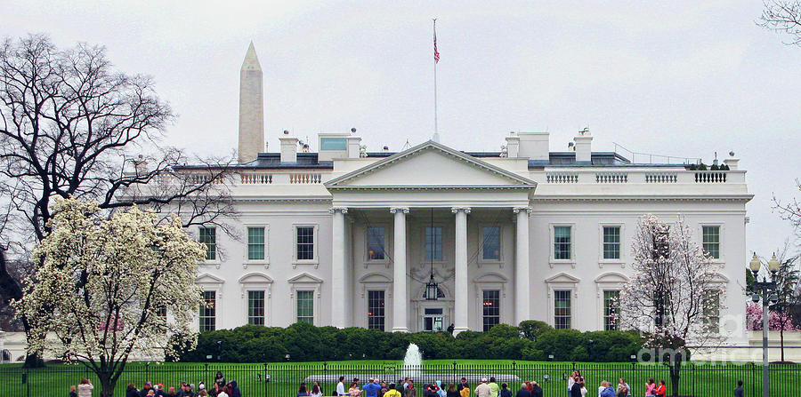The White House 2058 Photograph by Jack Schultz