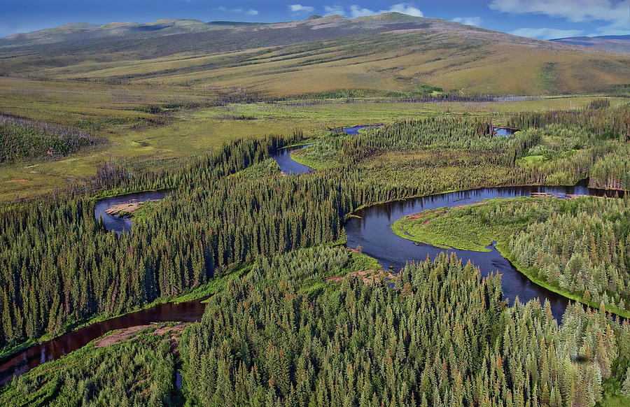 The White Mountains of Alaska by Anthony Dezenzio The White Mountains of Alaska by Anthony Dezenzio