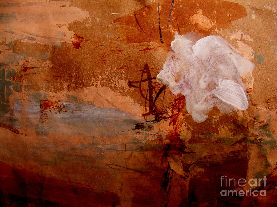 The White Rose  Digital Art by Nancy Kane Chapman