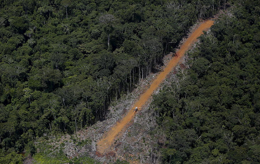 The Wider Image Illegal Gold Mining Photograph by Bruno Kelly - Fine ...