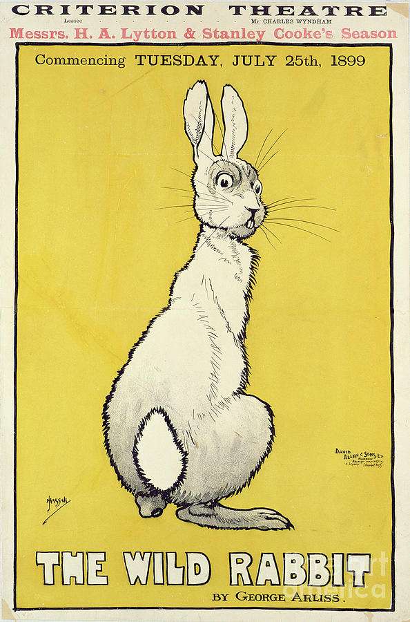 The Wild Rabbit Poster, 1899 Drawing by J. Hissin