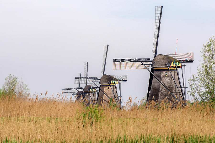 The windmills of Kinderdijk Photograph by Wolfgang Stocker