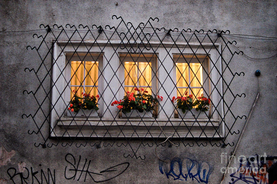 The windows of Sofia Photograph by Yavor Mihaylov