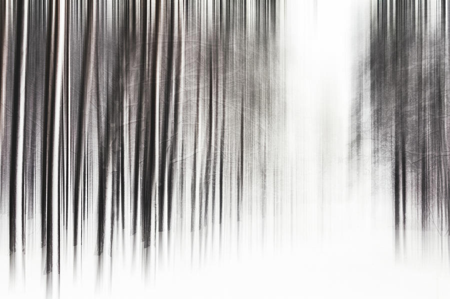 The Winter by Anne Leven The Winter by Anne Leven