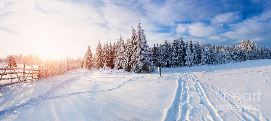Forest Photograph - The Winter Road by Standret Forest Photograph - The Winter Road by Standret