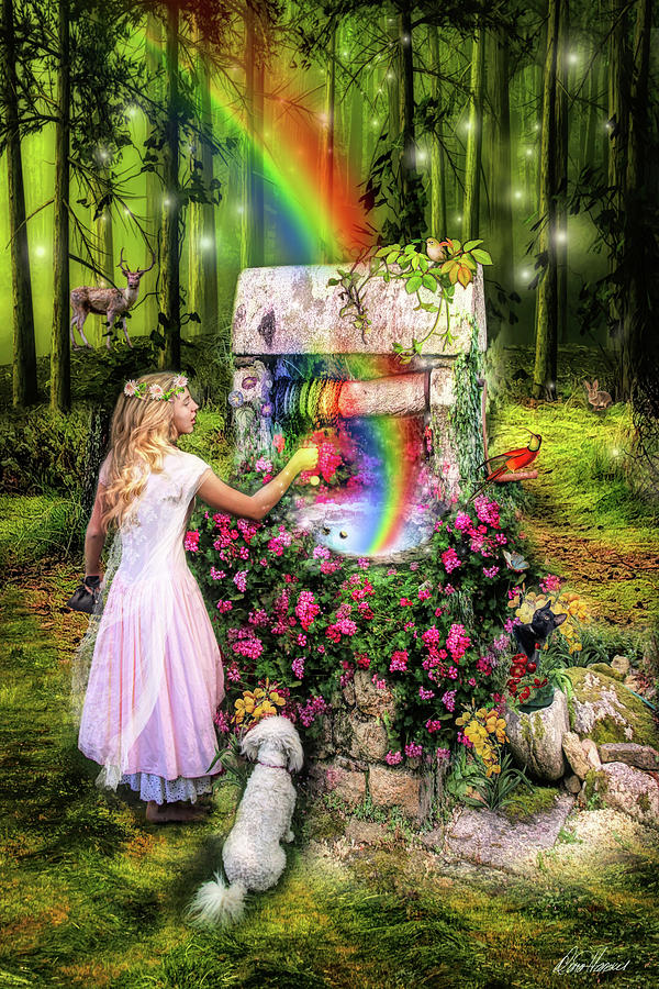 The Wishing Well Photograph by Diana Haronis