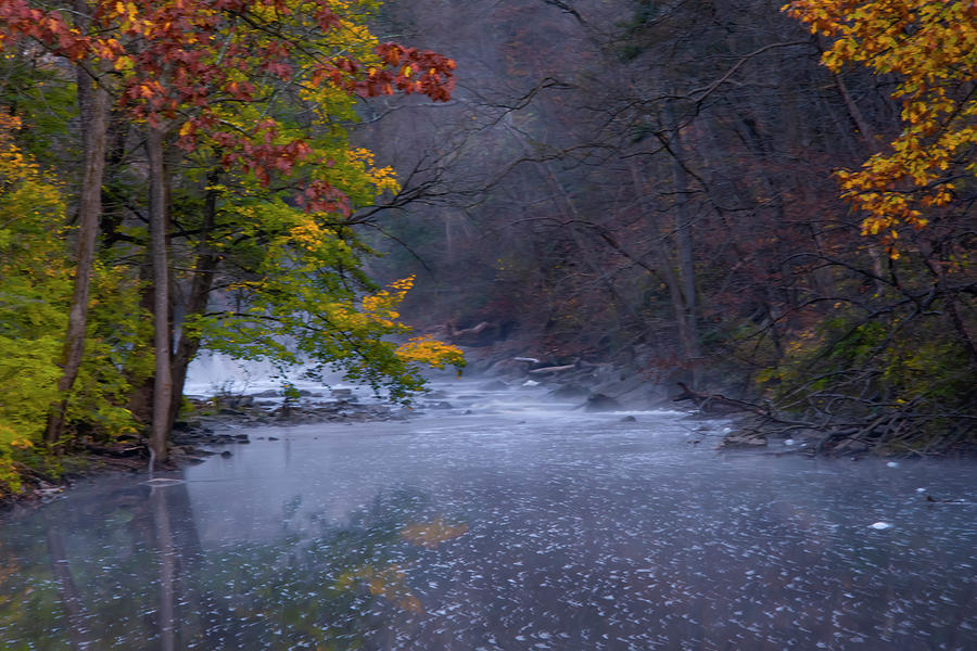 The Wissahickon Valley on an Autumn Morning Photograph by Bill Cannon