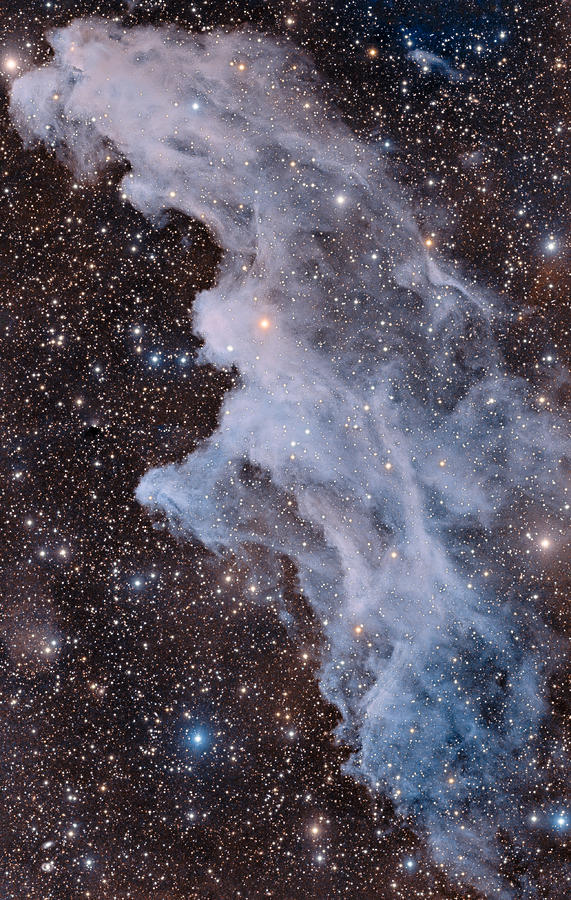 The Witch Head Nebula Photograph by Vikas Chander