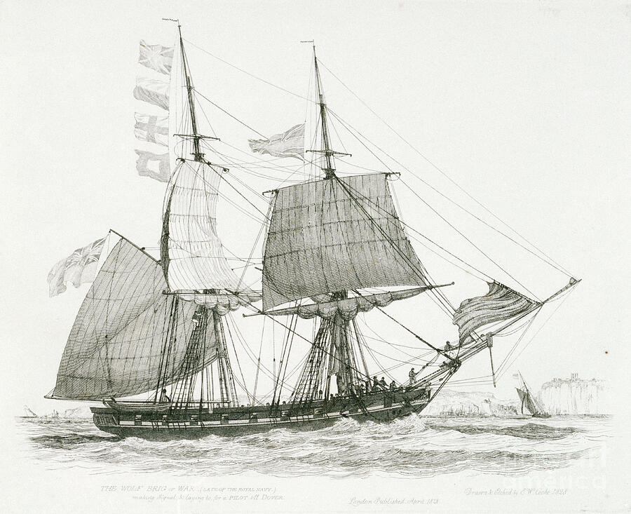 The Wolf 1826, Or 1814, Brig Of War, Late Of The Royal Navy, Making Signal And Laying To, For A Pilot Off Dover Drawing by Edward William Cooke