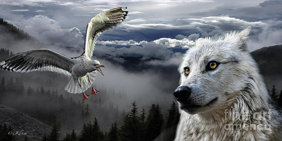The Wolf and the Gull Photograph by Kira Bodensted