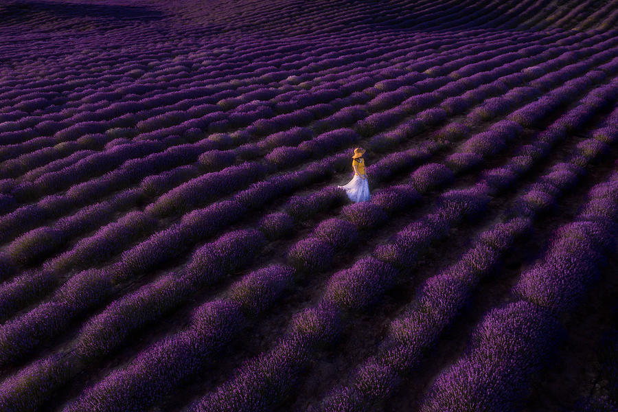 The Woman In Lavender Photograph by Bingo Z