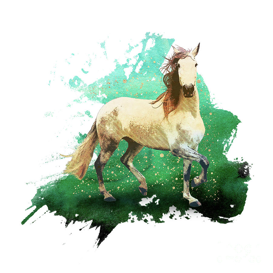 The wonderful horse by Angela Doelling AD DESIGN Photo and PhotoArt The wonderful horse by Angela Doelling AD DESIGN Photo and PhotoArt