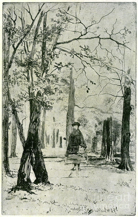 The Wood, 19th Century 1904.artist Drawing by Print Collector
