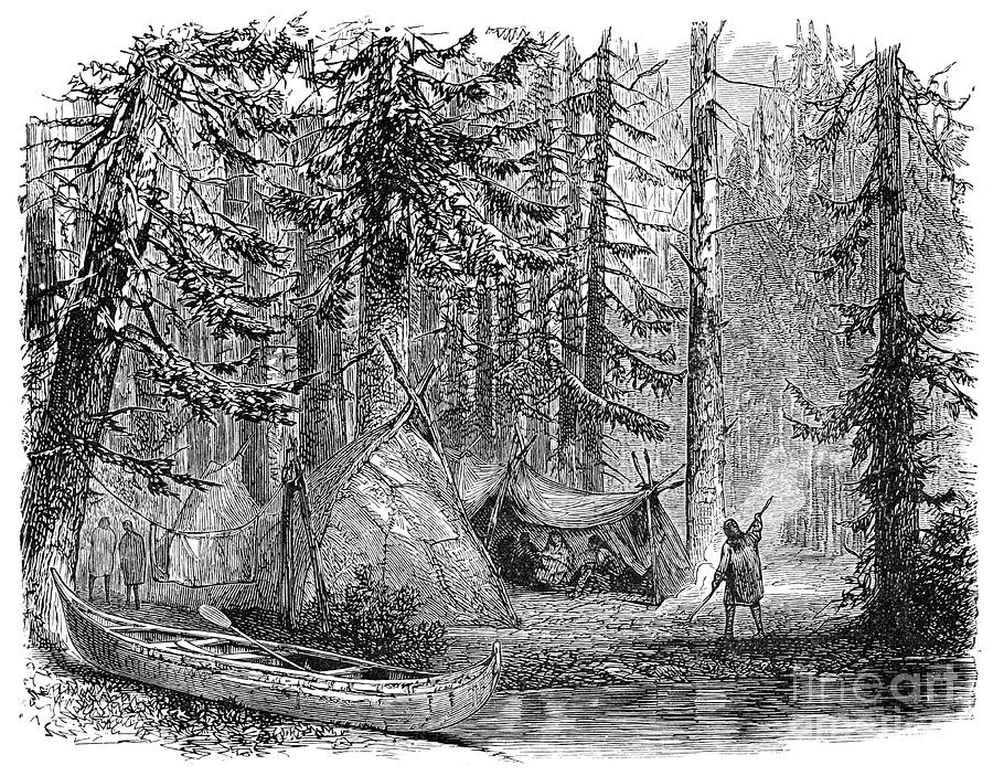 The Woods Before The Emigrant, 1900 Drawing by Print Collector