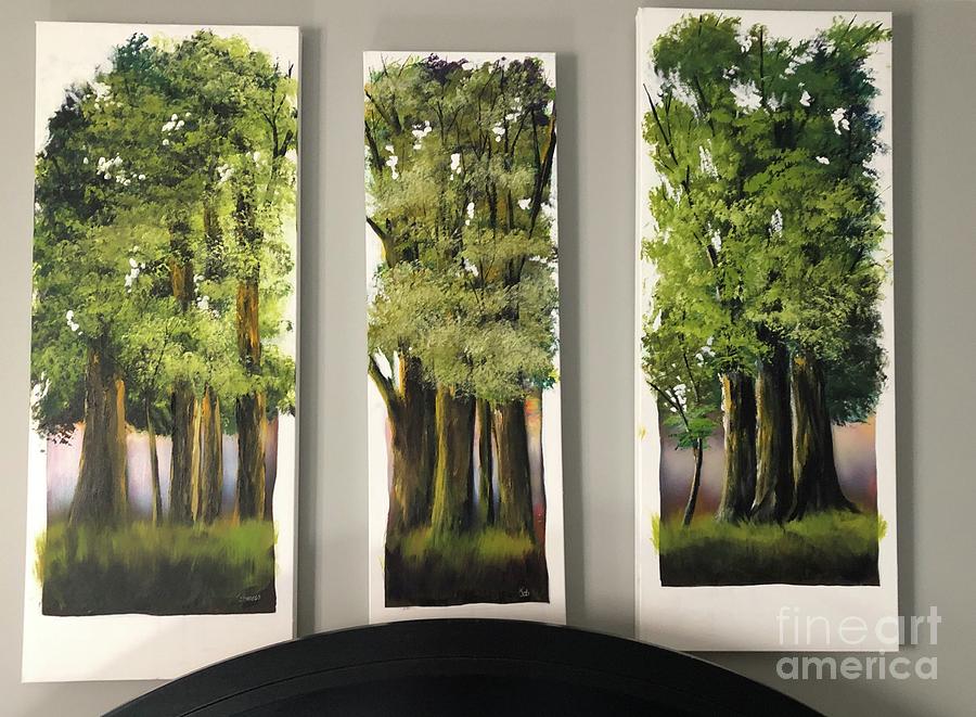 The woods by Joe Bracco The woods by Joe Bracco