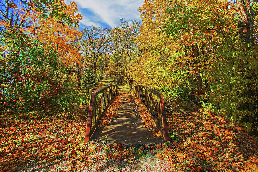 The Woods Photograph by Julie Pals | Fine Art America