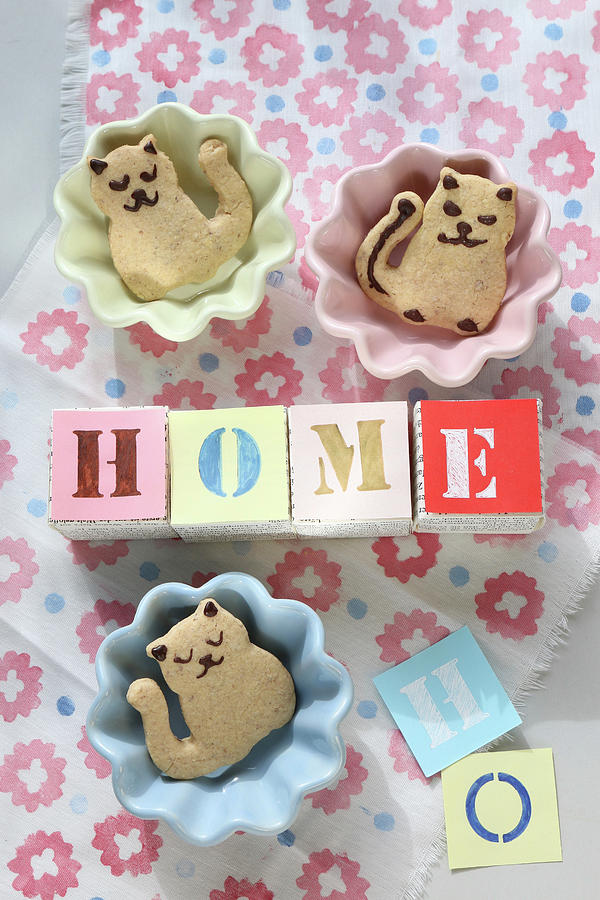The Word home On Paper Cubes And Cat-shaped Biscuits In Dishes Photograph by Regina Hippel