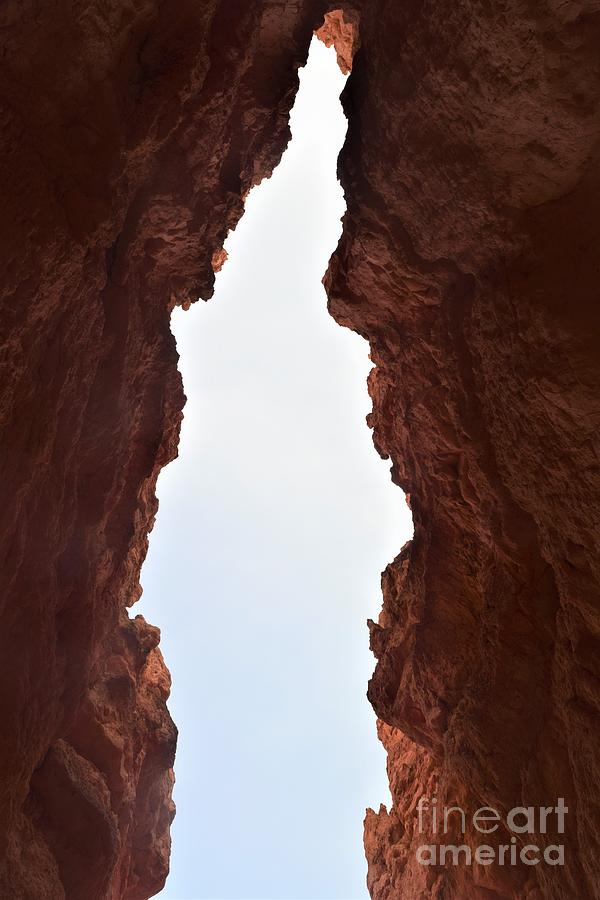The World Above, Bryce Canyon Photograph by Leslie M Browning